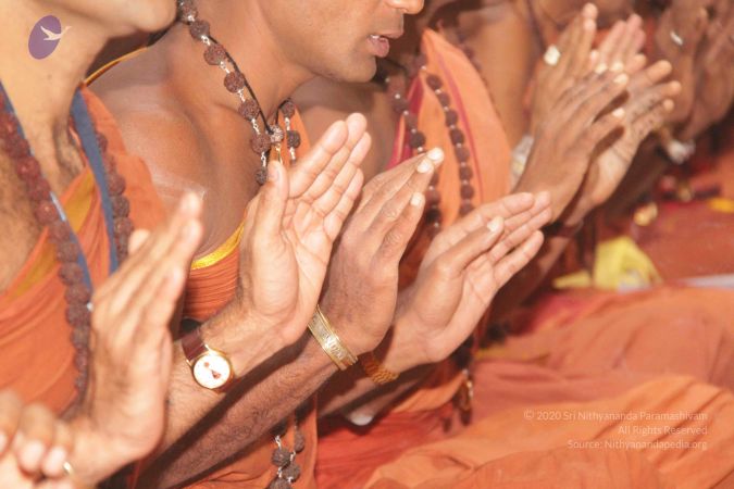 20130227 Photo 1076 1QjTh5Y1SNdzDFIR8dC9F5kZZz4bMVQAy.JPG