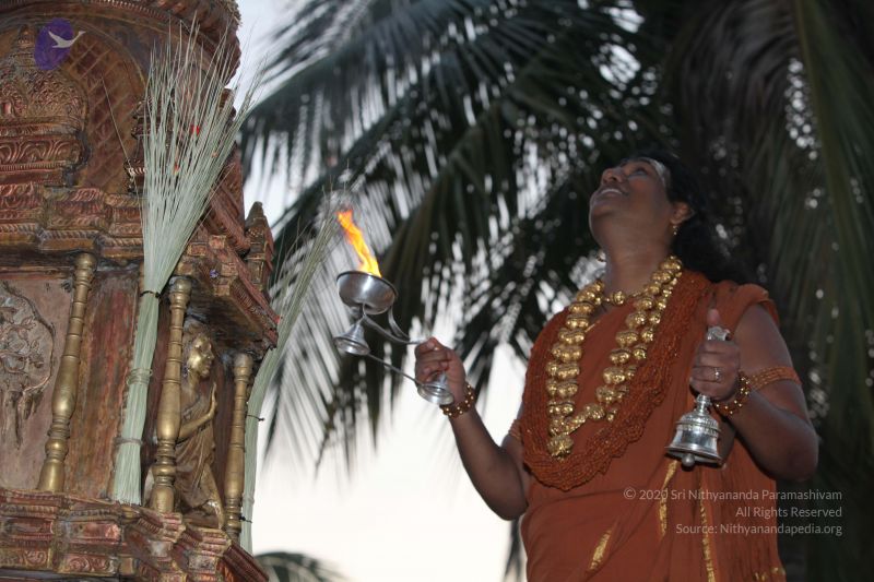 File:20130228 Photo 1067 1IJJQkuDgAq fG-IUb9QstUSygPsJ-sju.JPG