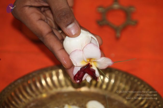 20130301 Photo 1011 1GkfK55CYvQMmFBVG4VDEqfplx ATho O.JPG