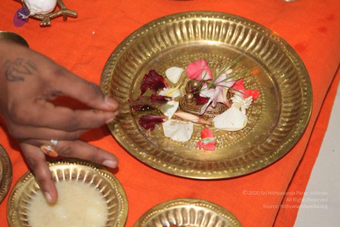 20130301 Photo 1014 1qhdza6ZUmPahljWxJHEsNh9GuZPU4EZC.JPG