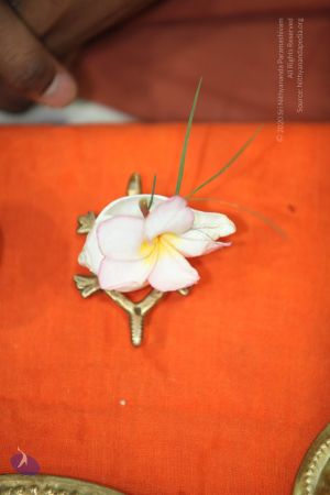 20130301 Photo 1025 1IU0XL08JUsLQaYC5FSjv55AXy3yGzbX2.JPG