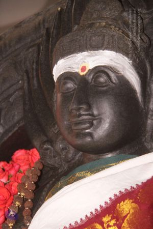 20130302 Photo 1091 1Cxe4 5zly38c1AkdQhjHMztWzJ7dPDmn.JPG