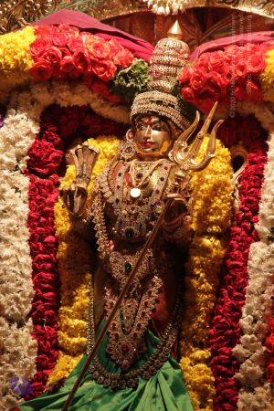 20130302 Photo 1414 1hh6YLKK gpyQR8wbPs9X5g0MJKAAxL4J.JPG