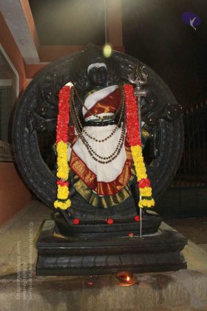 20130302 Photo 1703 1Q25HEVpwQtxpQjXPgmwyeTPVialnkBJ5.JPG