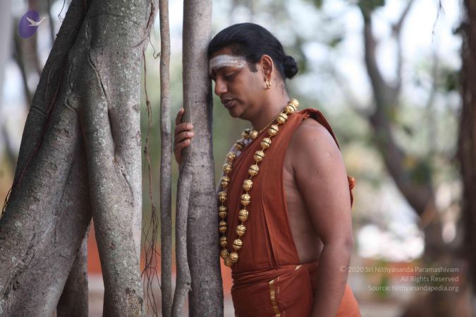 20130304 Photo 1020 1ch3oOFFtz0INH-sBQsqGcUpFHeC4F8jo.JPG