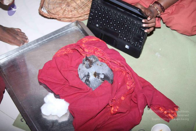 20130305 Photo 1000 1xBT5ithyOXepGit3MNpR~6j-6A1jCk8.JPG