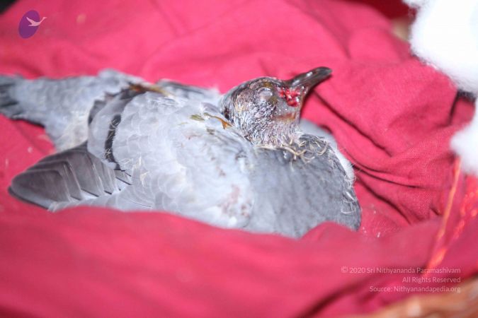 20130305 Photo 1003 1UeY1iYJFARdDKGqCtKSDU2Qki m10zId.JPG