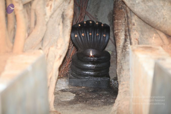 20130306 Photo 1017 1jhpywnm363riCXdNc8ZjOZSjYFr55rAC.JPG