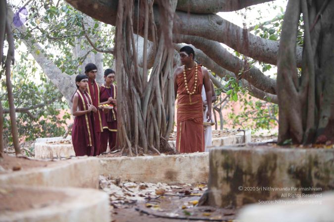 20130308 Photo 1041 1pk5WkWpzIwt2qCWRMziEAaWNsmj8O0xy.JPG