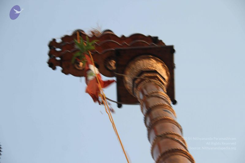 File:20130310 Photo 1192 1MwtYi J-KRRO6uiKwDYEAp6YEPMhVWqW.JPG
