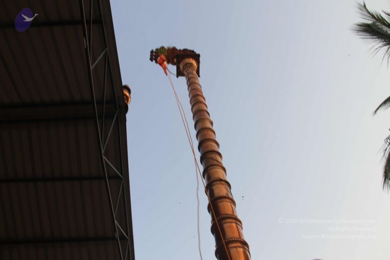 File:20130310 Photo 1203 1ywASgTcmCIT8dEihnFlcUZgfozRWp5P3.JPG