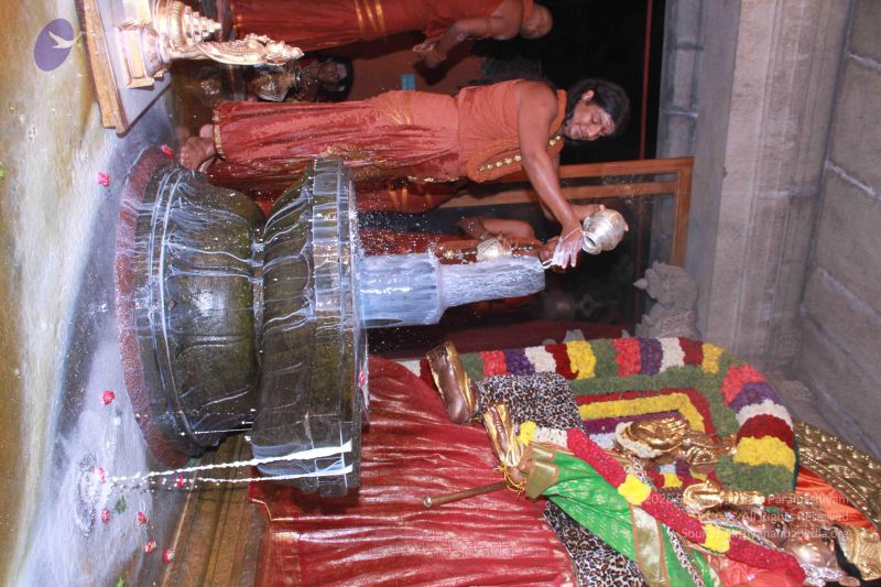 File:20130310 Photo 2696 1c5I8BQ5sK5mDSyqVweadRTpgwEQRO1Su.JPG