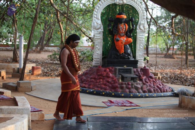 20130313 Photo 1023 1w1f3ODBmDAcV-oOs0-LN8GvnF3NZASso.JPG