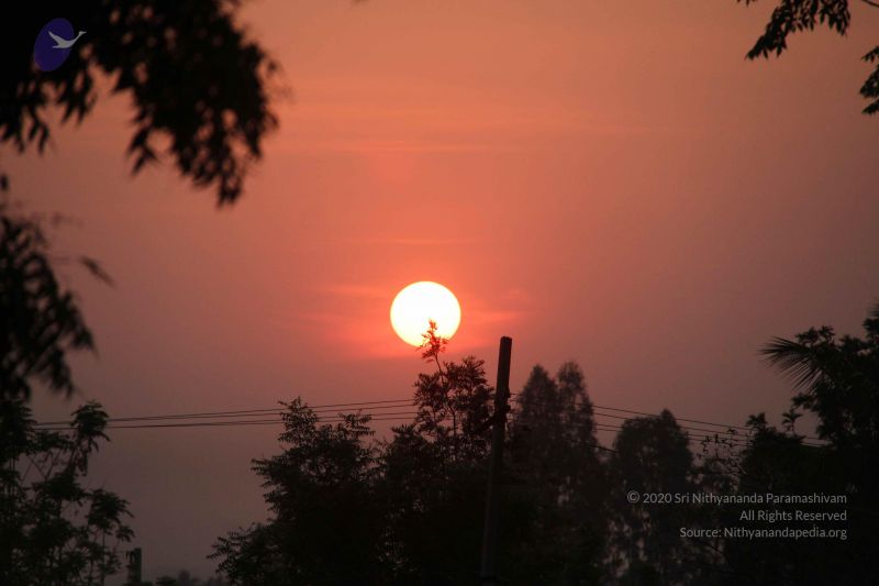 File:20130313 Photo 1031 1exTa1UWLFFSDXMeolCmMXMEGNTDb4w2q.JPG