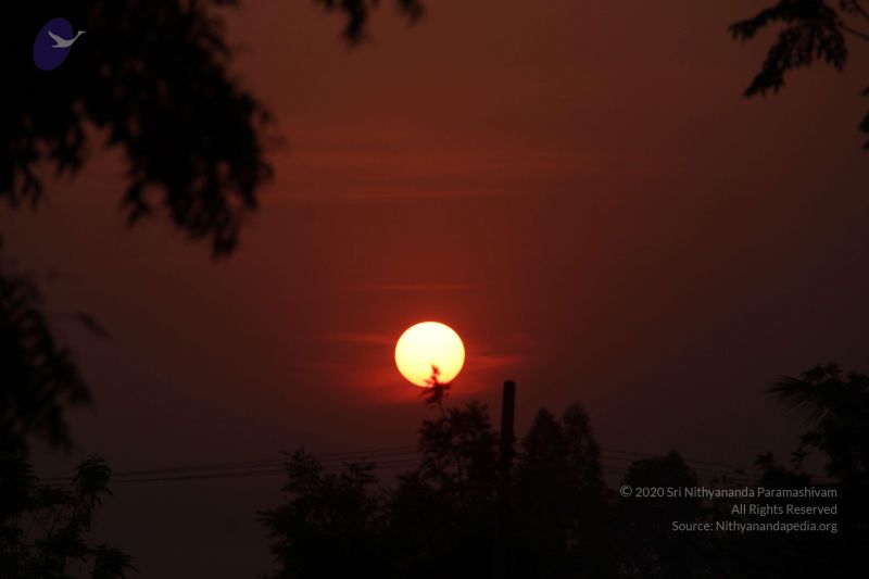 File:20130313 Photo 1032 11HTUEEjQo2-DBK3Cv71dQ-xrLlksrw0Q.JPG