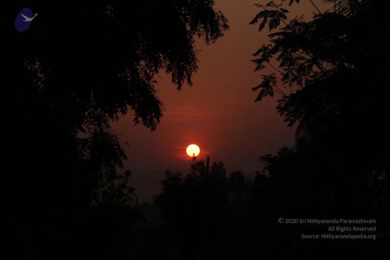 File:20130313 Photo 1033 1oow5xbGnvwu8hXe5PxoM6ctHCPiYhY1F.JPG