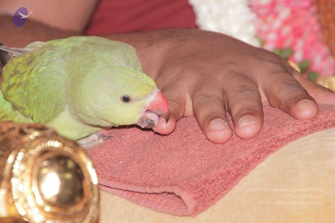 20130313 Photo 1076 1B8LscFBtroKgoDvI0OIViHBQXLk7geN5.JPG