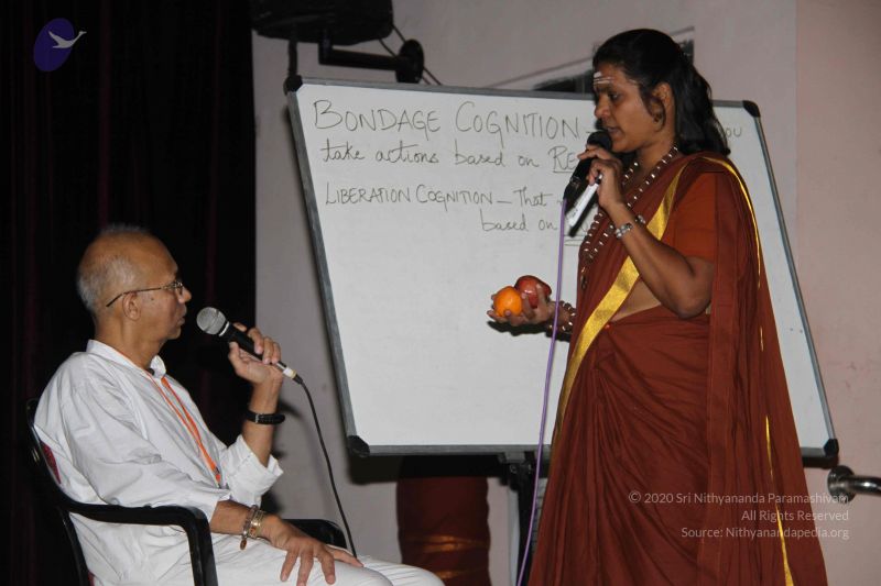 File:20130313 Photo 1278 1A6t1bzMtKJ75-N373-1UeU1KHpq56sJB.JPG