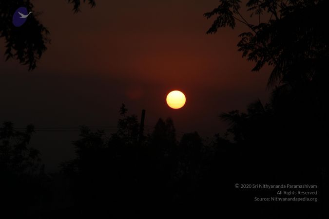 20130316 Photo 1012 1SbSagurhoe5xVGapafjnov0-6PxXRdtw.JPG