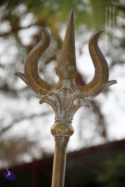 File:20130317 Photo 1023 1fFR8cr6DzDr29xtn553Sd6vhWQC4LRJ7.JPG