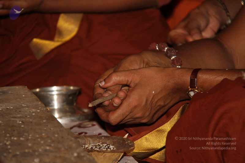 File:20130318 Photo 1221 1eVaAQqZgzqgB7LWZw544dKj-he4Ulq 1.JPG