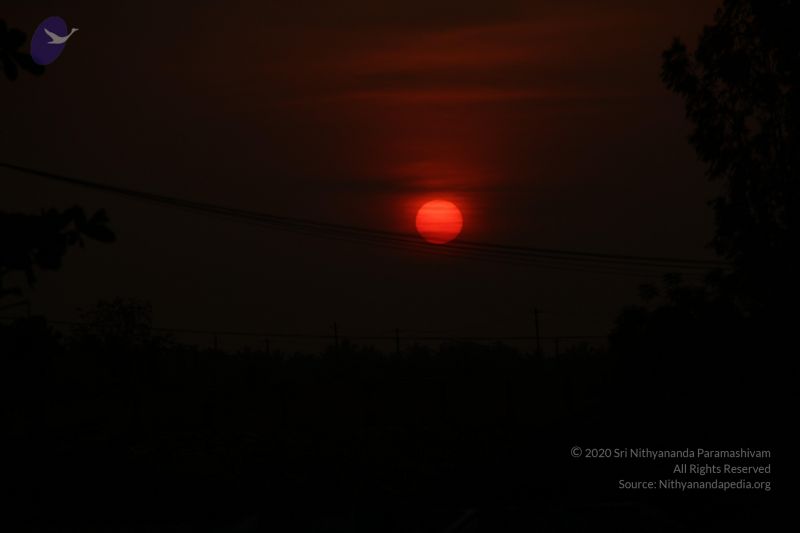 File:20130320 Photo 1001 1QtbzmbR9EbQQJ8cOgpLLJHYBDtLonchv.JPG