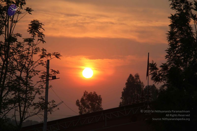 File:20130321 Photo 1021 1WXCU9t4Tamzxpim5f6qDkmW-H1RMYpaW.JPG