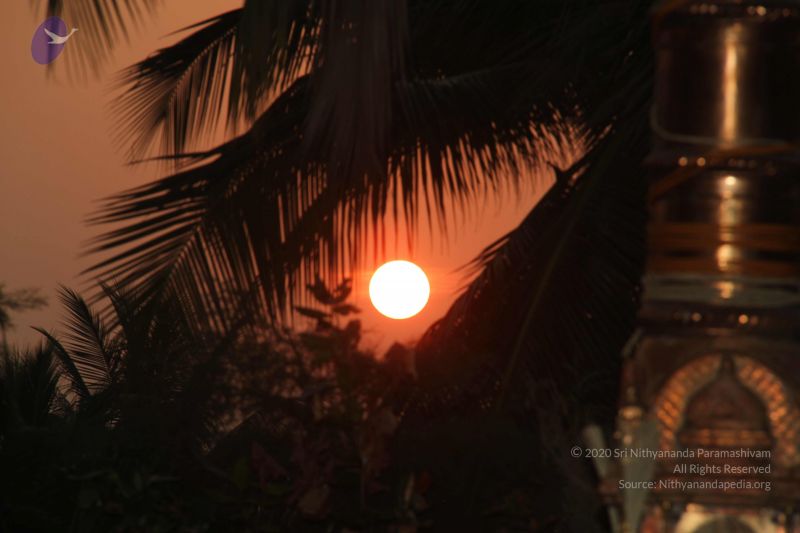 File:20130322 Photo 1013 1ltECL3ESR7Hi13YI7 hQHqUn3bMVEa7O.JPG
