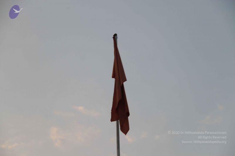 File:20130323 Photo 1028 1p-X 807T8IzC0GcphAijVr1X6pWmGNXF.JPG
