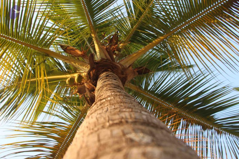 File:20130325 Photo 1024 1cKrp4Qg9ZlZupM6JO8XEOIMKNgmTT5mW.JPG