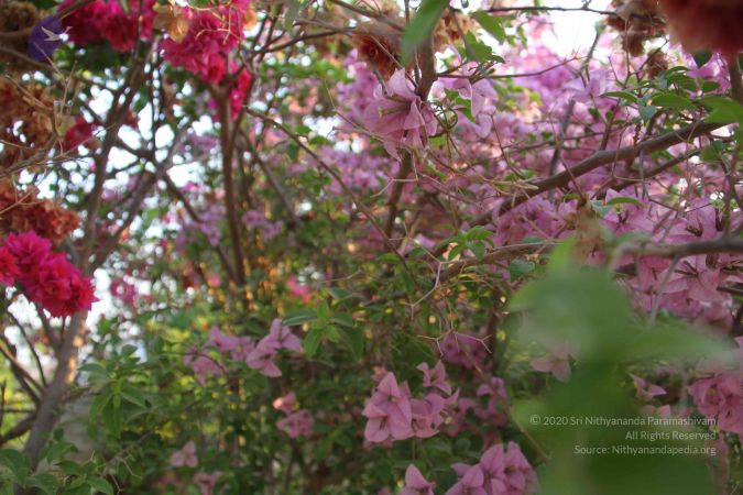 20130325 Photo 1026 1gDAmR-Isdfi3e7z5fMfPdZv7N1rl9T-d.JPG