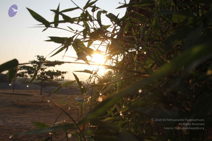 20130325 Photo 1027 140HfnfeVEqRE9gH58HijxL3yFw08yVaK.JPG