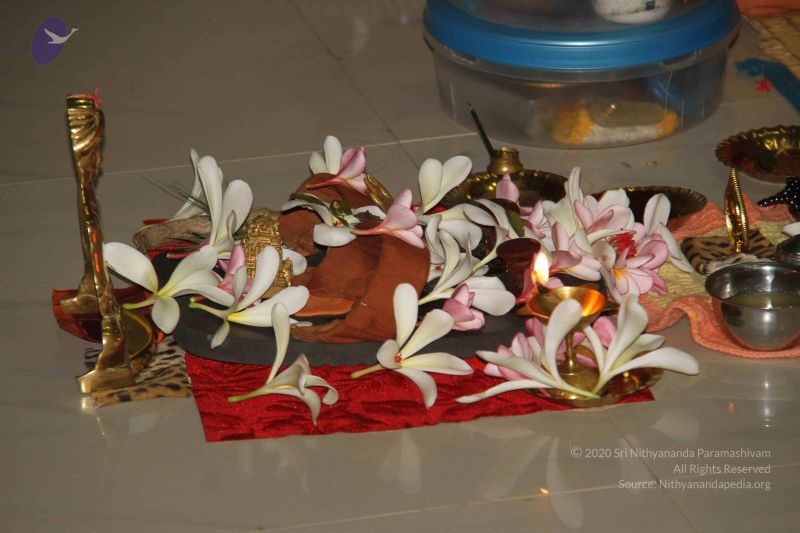 File:20130325 Photo 1043 1q2kKf11dkKiKnxK1Ftk7IZxQ3JGk~RQ.JPG
