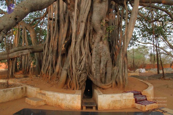 20130329 Photo 1033 1a5Uu3RSd-ynZPDRMKfdc5JlmjXKUcaCQ.JPG