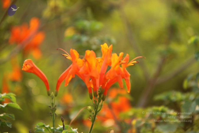 20130329 Photo 1036 1g-9mhaBVwDxX-CiItIu nagtvj0bS8sG.JPG