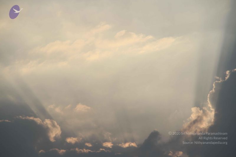 File:20130329 Photo 1139 1j MUqzY83reZkCXDB2CCGWTA1UZ2MhVu.JPG