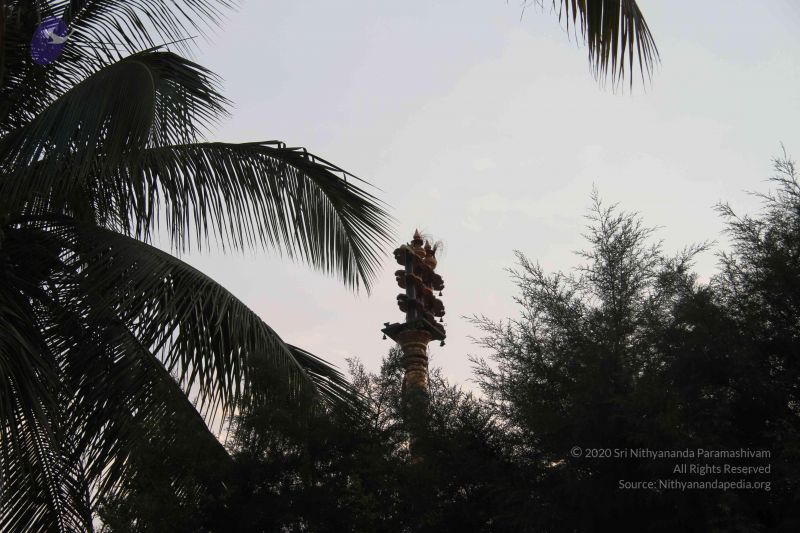 File:20130329 Photo 1149 1m15HPHSOiTT9xonrnmmIv9mwXQ9mdphe.JPG
