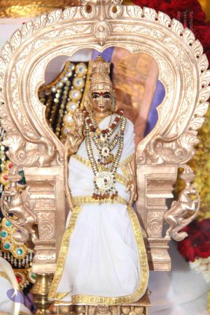 20130330 Photo 1016 1ECLwzbDucF4MMOaY1UfHoO86wgqCuxB5.JPG