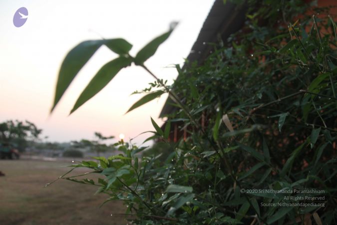 20130401 Photo 1013 1jzewzIwdUQ8B9vjtRkIsqtYkNglO3sqU.JPG