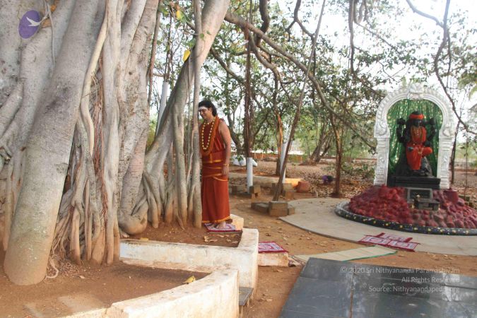 20130401 Photo 1029 1c6LV2PySkstc7RY2k-IAS1zB0lyq8FY2.JPG