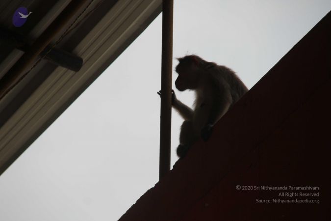 20130402 Photo 1090 1hIcSO7ZGcUkwEDinZ7D4Up bkH9I89MB.JPG