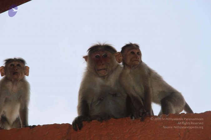 20130402 Photo 1095 1D4ATEZQrTeEv Y4CpnT SQ9KlzcK4cA0.JPG