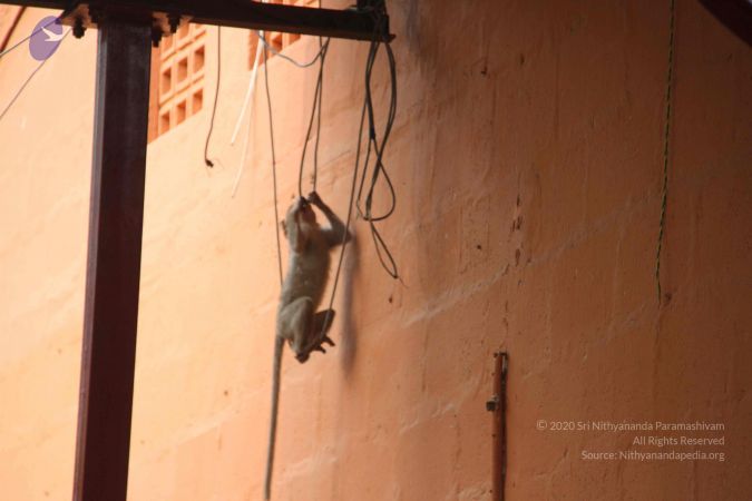 20130402 Photo 1132 1Qs8v1dG1HK9e2Cw I OHExssl9gc4yUo.JPG