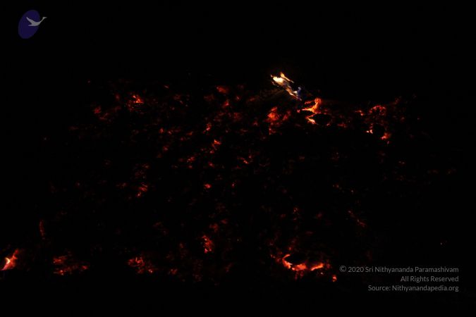 20130403 Photo 1163 1lVy 5NuDA54w4Id3QEA-WjZtBFBK33vL.JPG