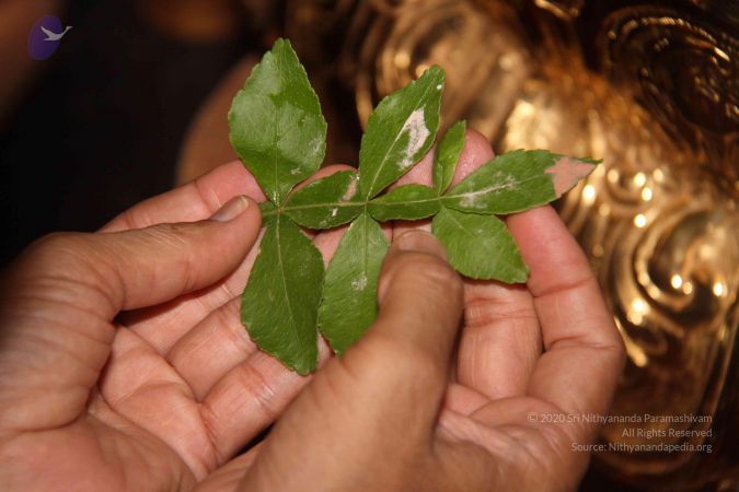 20130404 Photo 1036 1Zop1gDFhobIfOQtQZe S0mm7GOw t1se.JPG