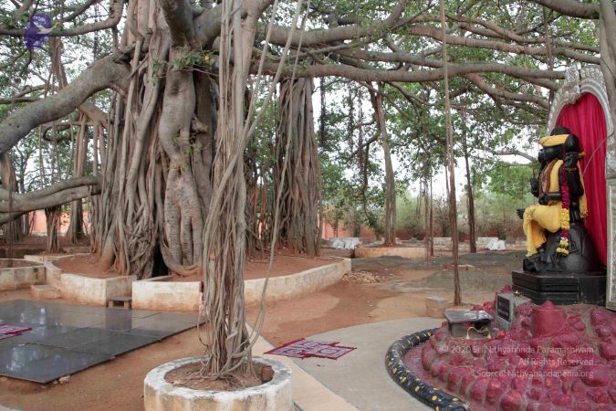 20130406 Photo 1007 1mvYnzaHuaauxFZ8i3lcA ZsOqkqILUah.JPG