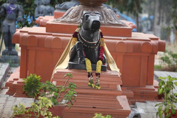 20130408 Photo 1011 1SQxj25hWx8 apOxCqPY82q9BFIecDJMj.JPG