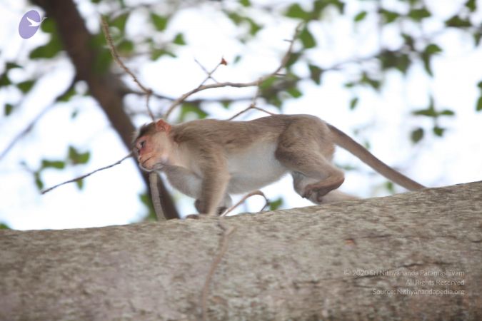 20130408 Photo 1019 1spb5uhwQj0Tu807IyGyll-Zk7okMxJsa.JPG