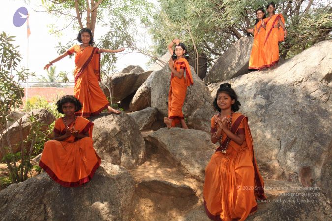 20130408 Photo 1096 1WCw6soXA-wtC0BX8s4B6XcOLkiuD8b-G.JPG