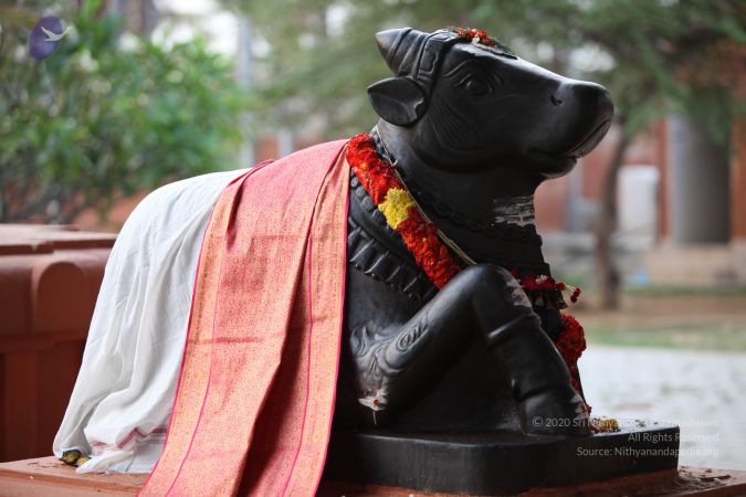 20130409 Photo 1003 13 DQLg4z4VpGdT3fJ37qjrziRRImalZ5.JPG